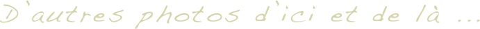 D’autres photos d’ici et de là ...